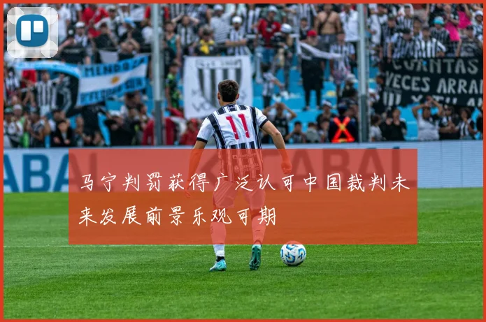 马宁判罚获得广泛认可中国裁判未来发展前景乐观可期